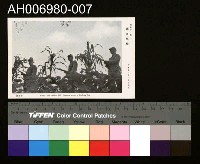 藏品(北支事變明信片)的圖片